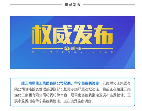 國企反腐再出重拳 云南煤化工集團(tuán)原戰(zhàn)略投資管理部副部長楊勇接受審查調(diào)查